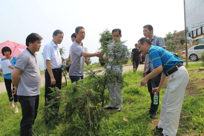 6月4日,市科技局局长李文豪,党组副书记李文豪和党组书记陈宣文